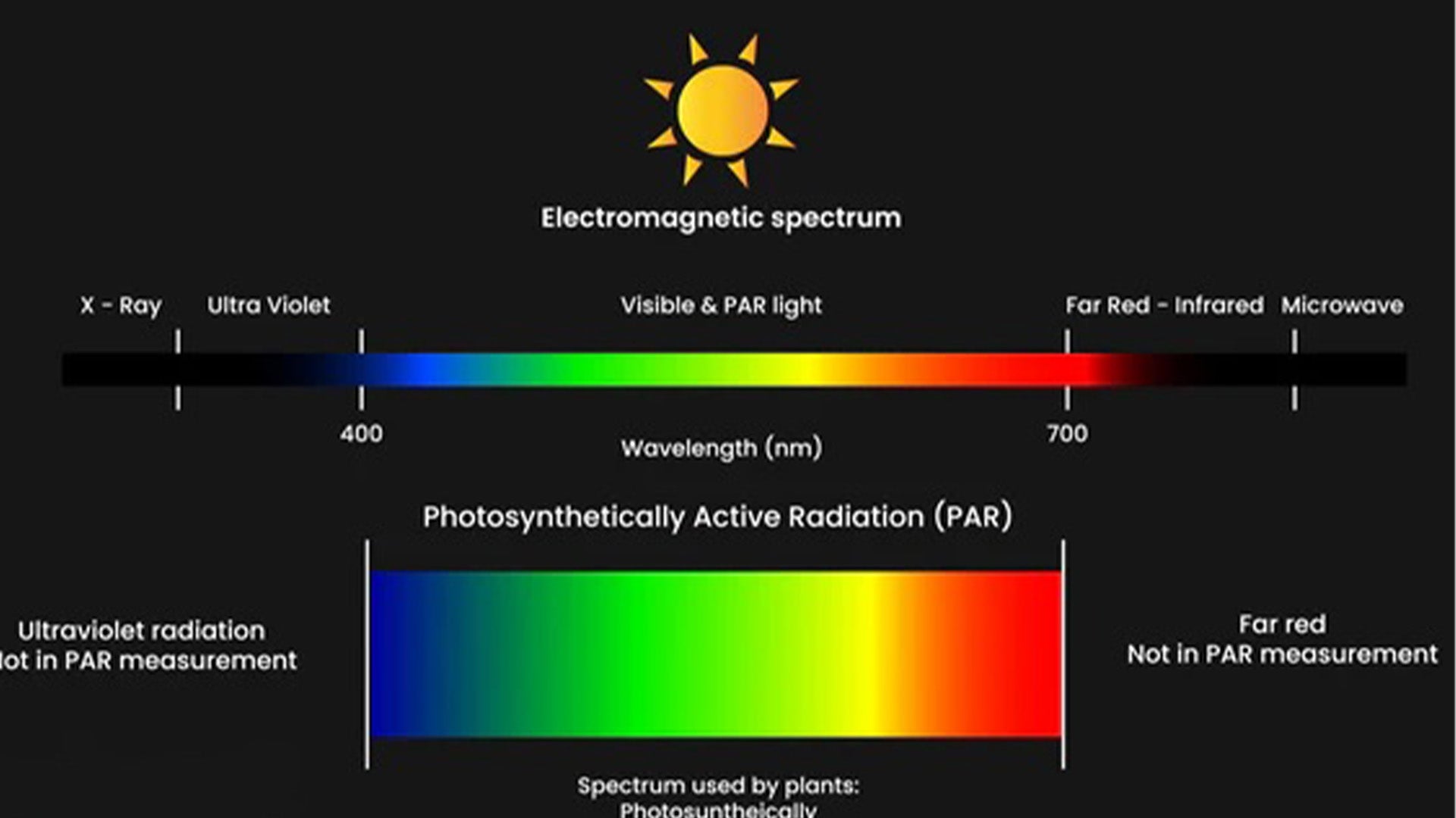 "Full spectrum LED grow lights nurturing indoor plants with balanced light for all growth stages"