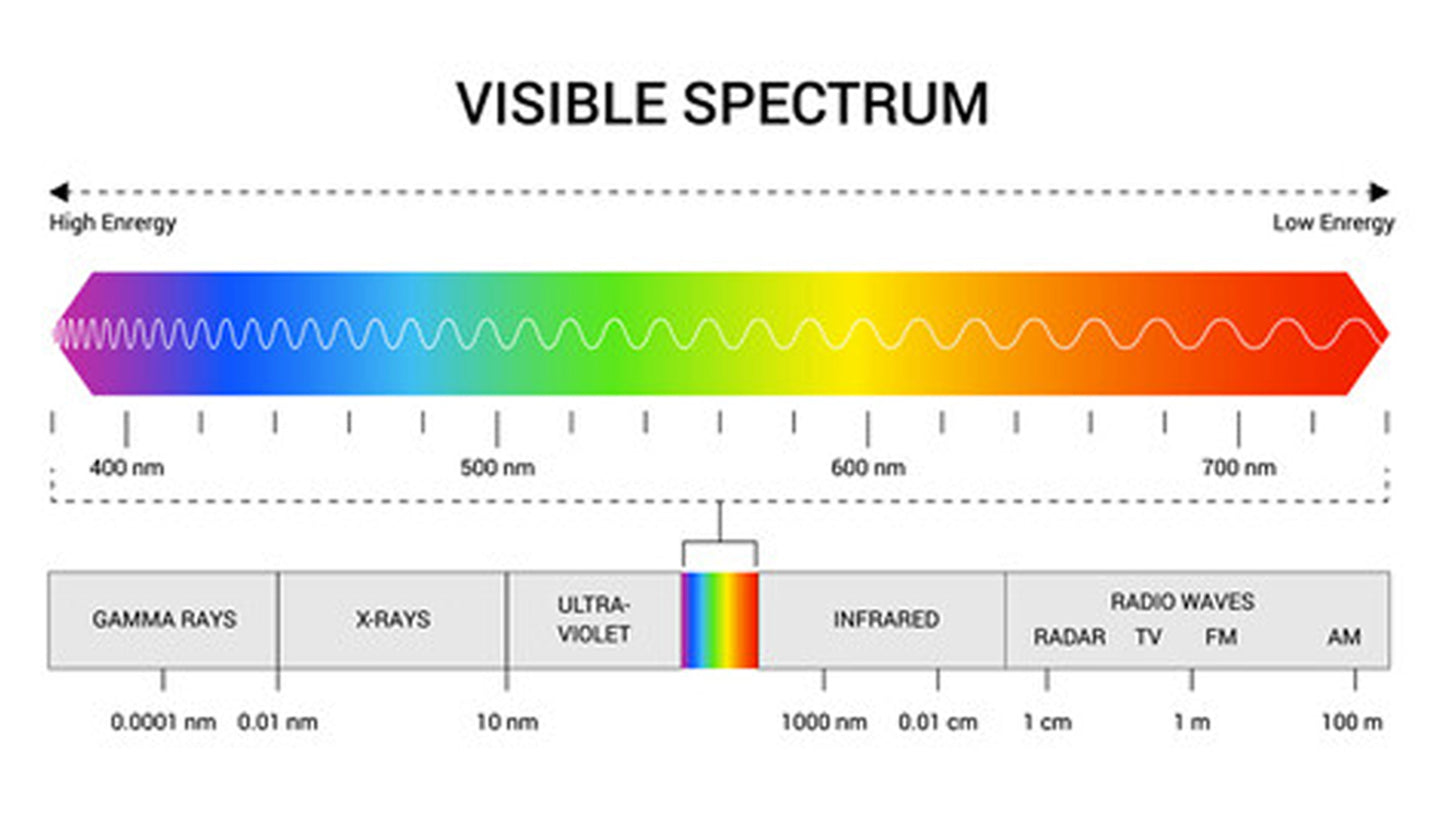 "poultry light visible spectrum"